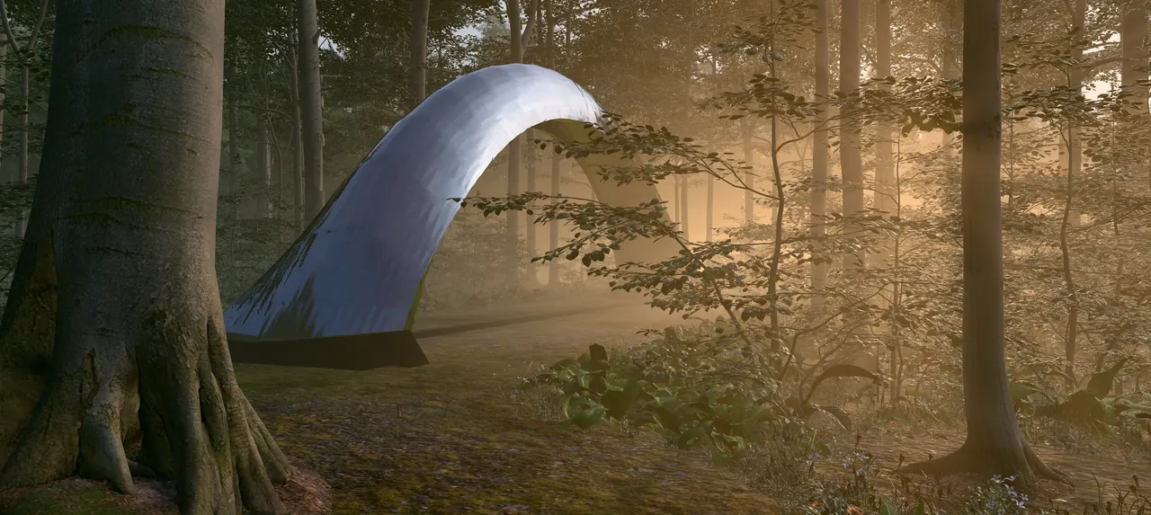 A thin two-sided vault standing on the floor of a misty beech wood, its pale shell springing from the ground and curving over into the low sun