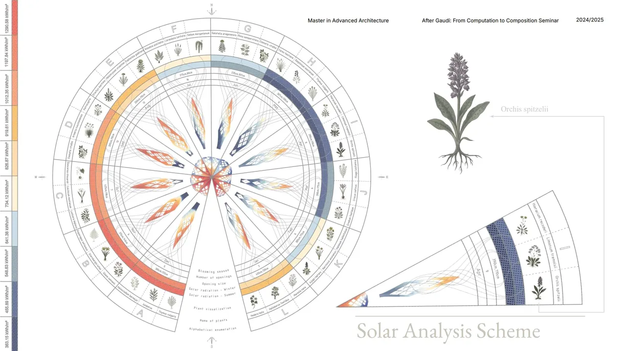 The solar analysis scheme that shaped the openings